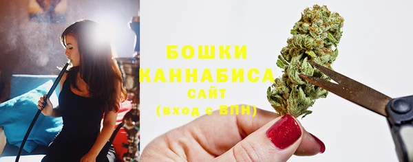 амф Верея