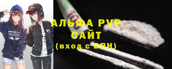 амф Верея