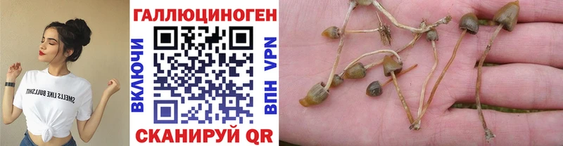 наркота  ссылка на мегу ссылки  Галлюциногенные грибы мухоморы  Любим 