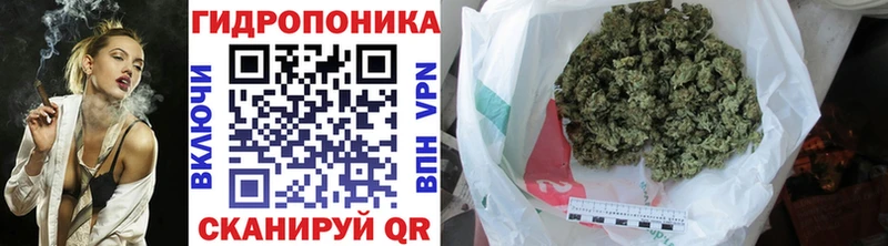 МЕГА онион сколько стоит Любим Бошки Шишки гибрид